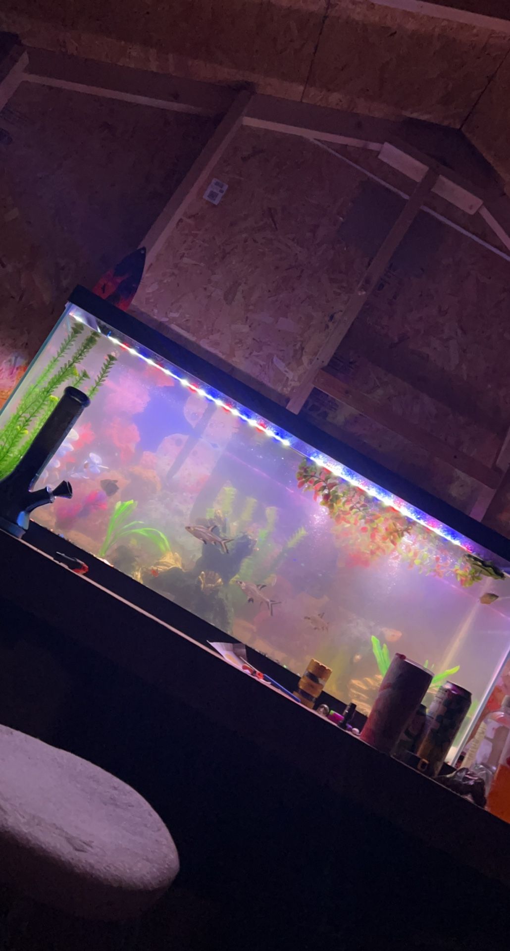 75 gallon Aquarium glass, lights, heater, filter and more