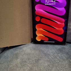 Apple iPad mini ( Latest Model ) with Wi - Fi + Cellular - 256GB Space Gray ( Unlocked )