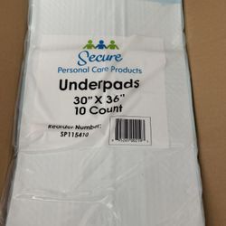 Secure Underpads 100 Count