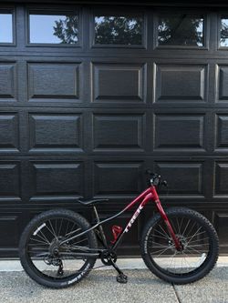 Trek Roscoe Mountain Kids Bike 24”