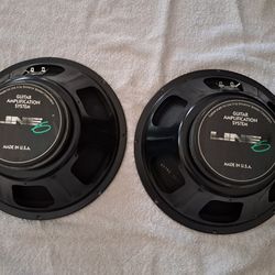 Guitar Speakers -  USA Made Eminence