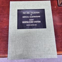 Netter Respiratory System Textbook 