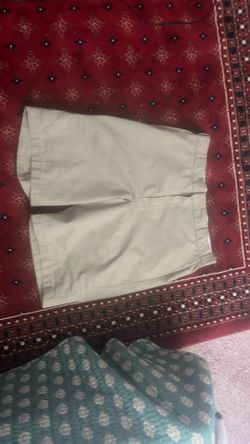dickies shorts  size 40