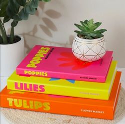 Decorative storage books