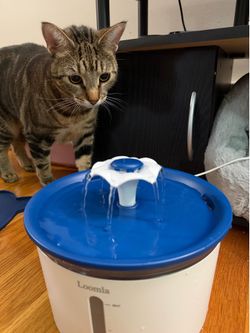 Pet water fountain