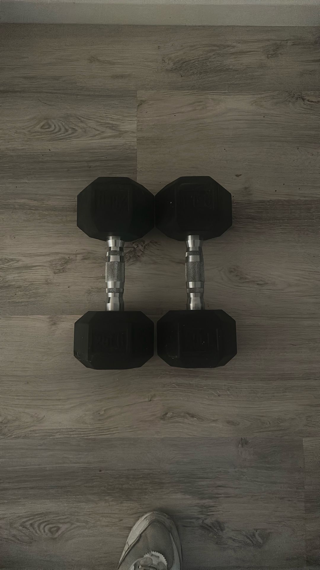 25lbs Dumbbells