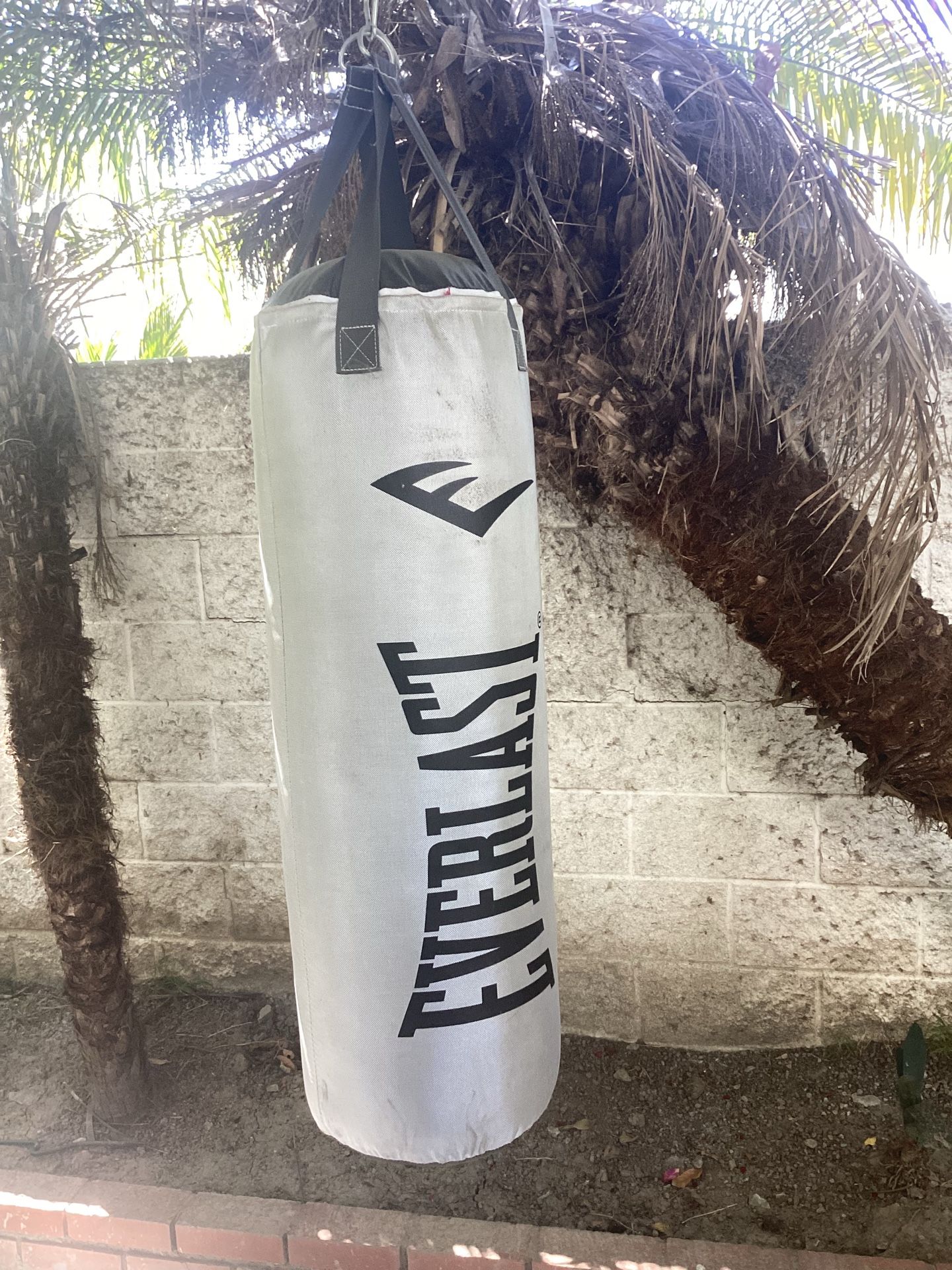 Everlast punching bag