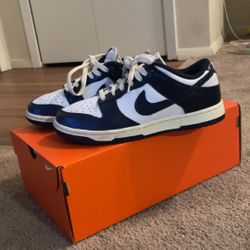 Navy Nike Dunks