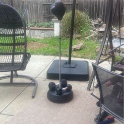 REFLEX BAG FOR BOXING - WILL TAKE COUNTER-OFFERS