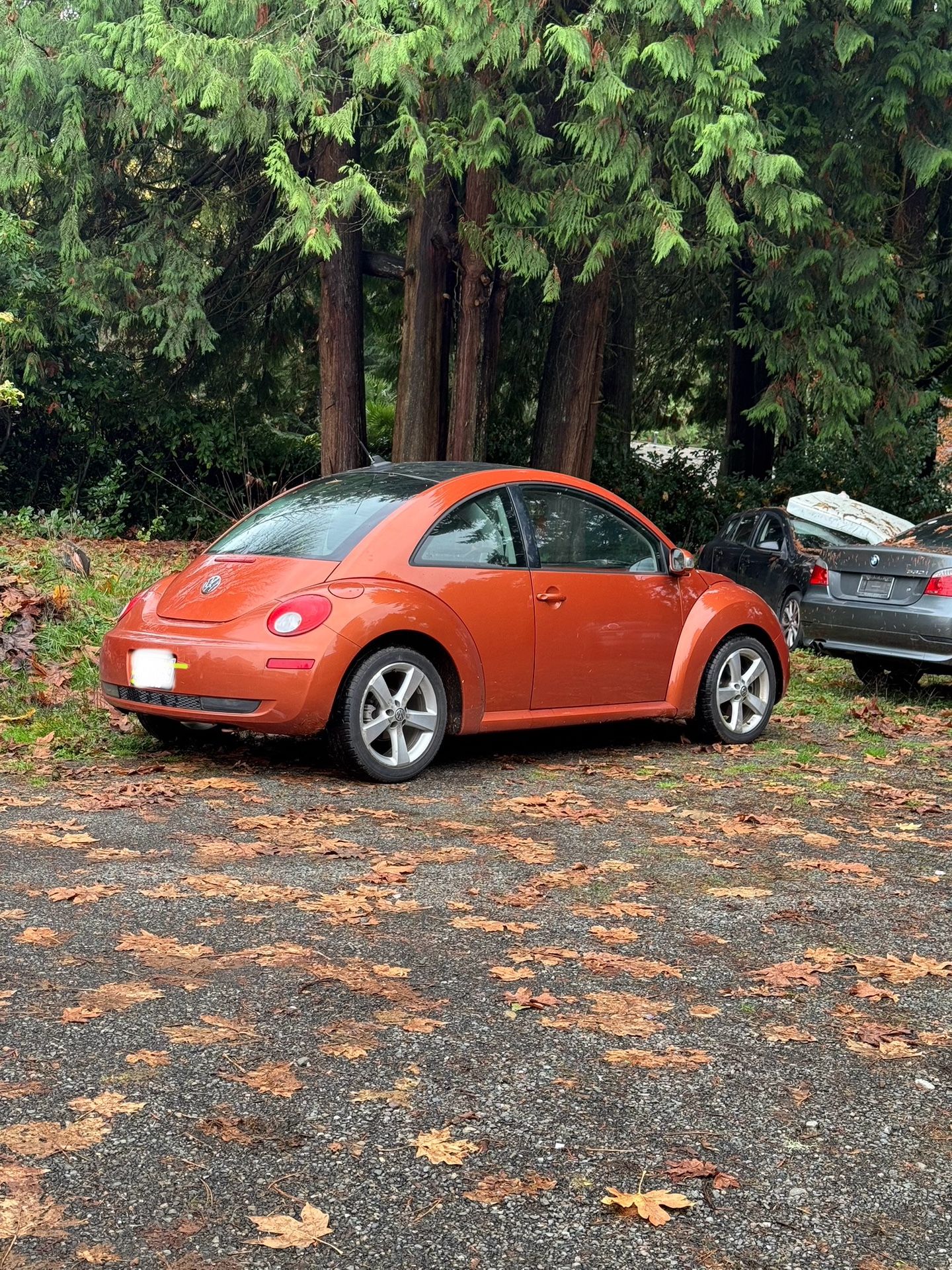 2010 Volkswagen Beetle