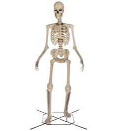 BRAND NEW / NEVER USED 12FT SKELLY SKELETON