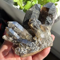 Natural Smoky Quartz Cluster 