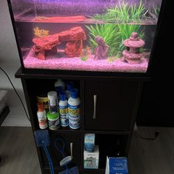 Fish Tank & Accessories: Full Aquarium Set Up