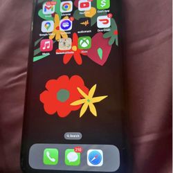 iPhone X