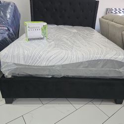 Queen Sizes Bed With Mattress 