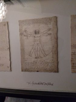 LEONARDO DAVINCI Codex