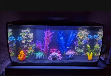 Fluval Sea Flex 32.5 Gallon Saltwater Aquarium + Upgraded LED + Stand + LOTS of Extras - $375 OBO