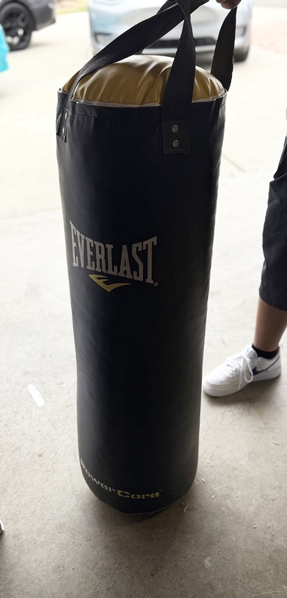 Everlast Punching Bag