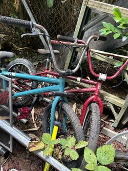 Sunday BMX