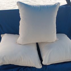 Outdoor Pillows