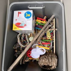 Misc Bird Toys 