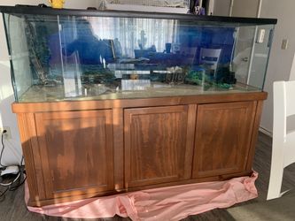 Huge fish tank