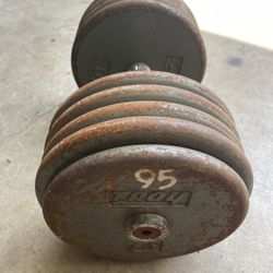 95 lbs Adjustable Dumbbell