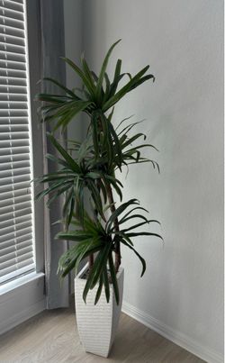 Life-like Modern Plant in Planter