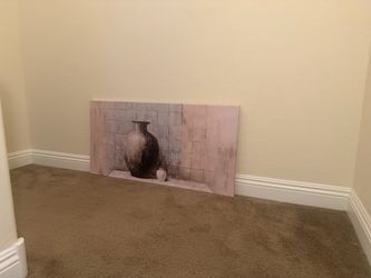 Canvas 20x40