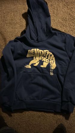 The North Face Bear Graphic Hoodie