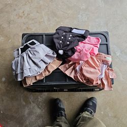 Dog Diapers