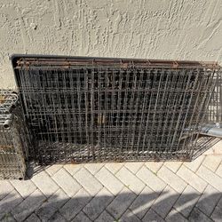 Large Dog Crate for sale