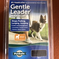 Gentle leading head collar 