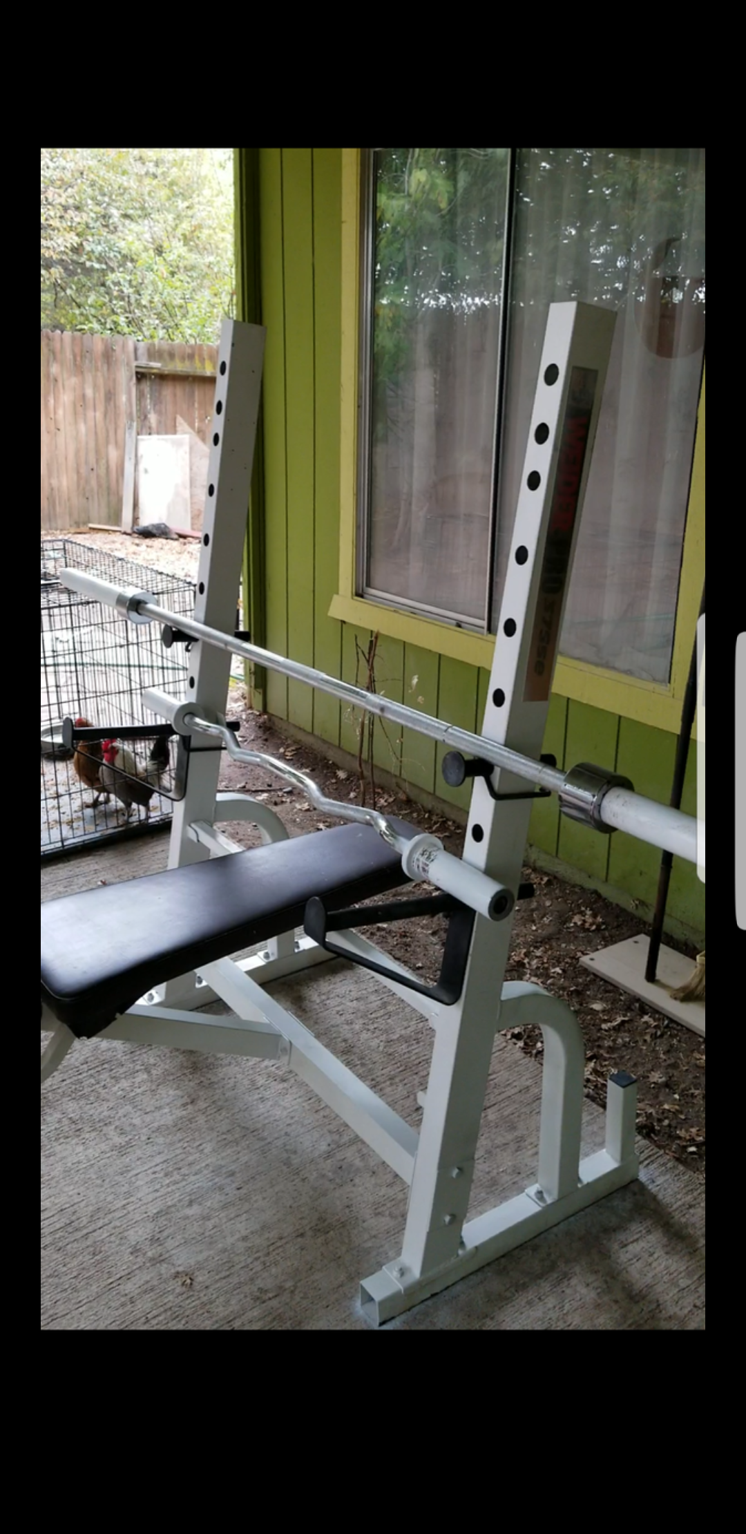 Weider Pro 375 SE Bench press