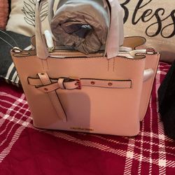 MK Purse