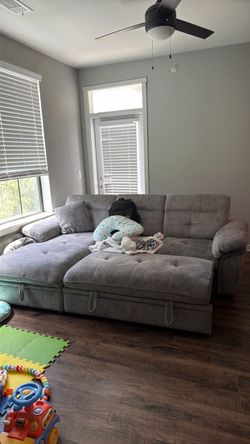 Modern Gray Sectional Sofa with Pull-Out Bed and Storage Chaise