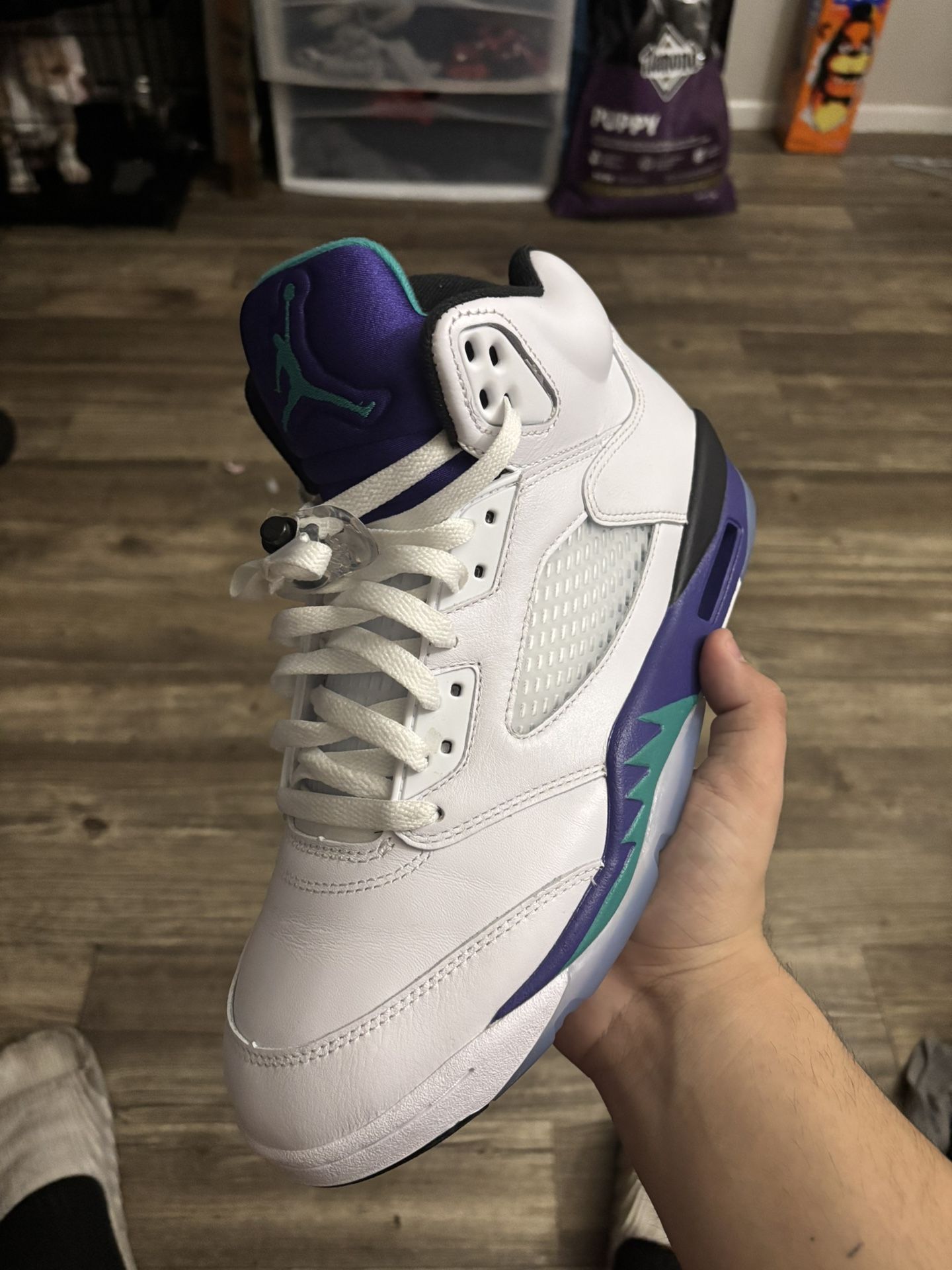 Jordan 5 grape 2025