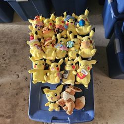 Pokemon Plushes 