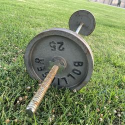 Straight Bar With Weights
