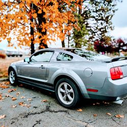 2006 Tungsten Grey V6 Mustang (Manual)