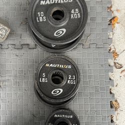 Weight Plates 