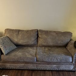 Sofa & Love Seat - Animal Lovers Special