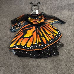 Butterfly Costume