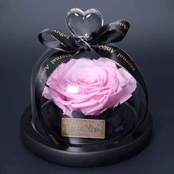 Preserved Real Roses Eternal Rose in Glass Dome Gift for Her Valentine's Day