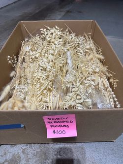 Dried florals