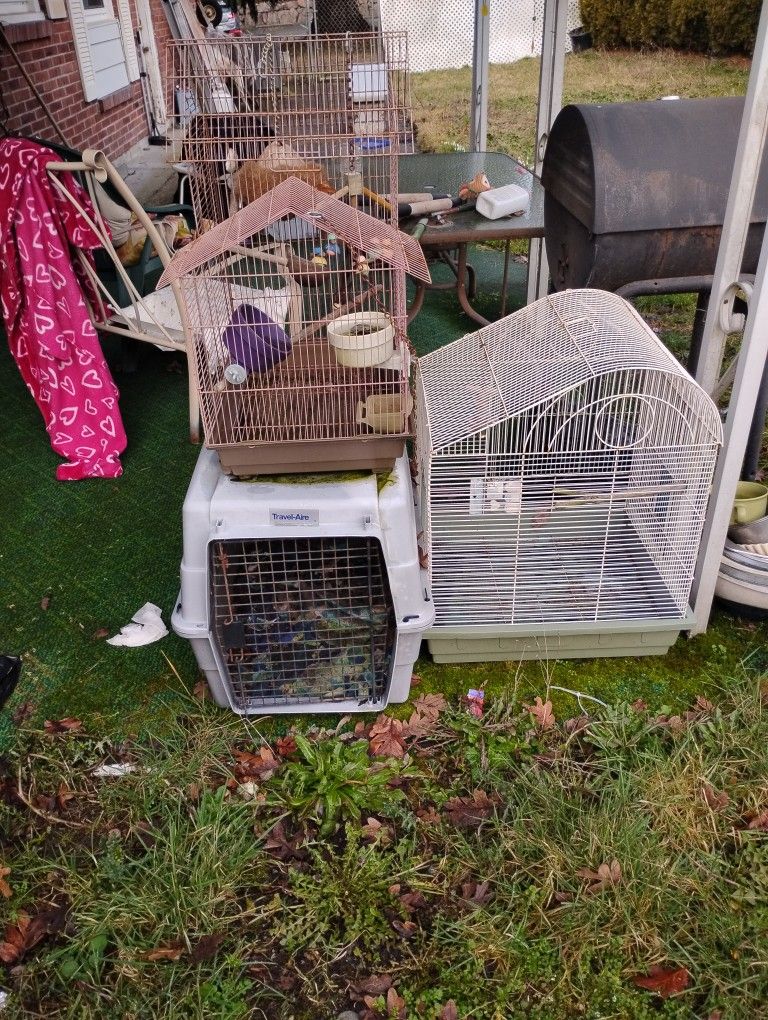 Bird Cages