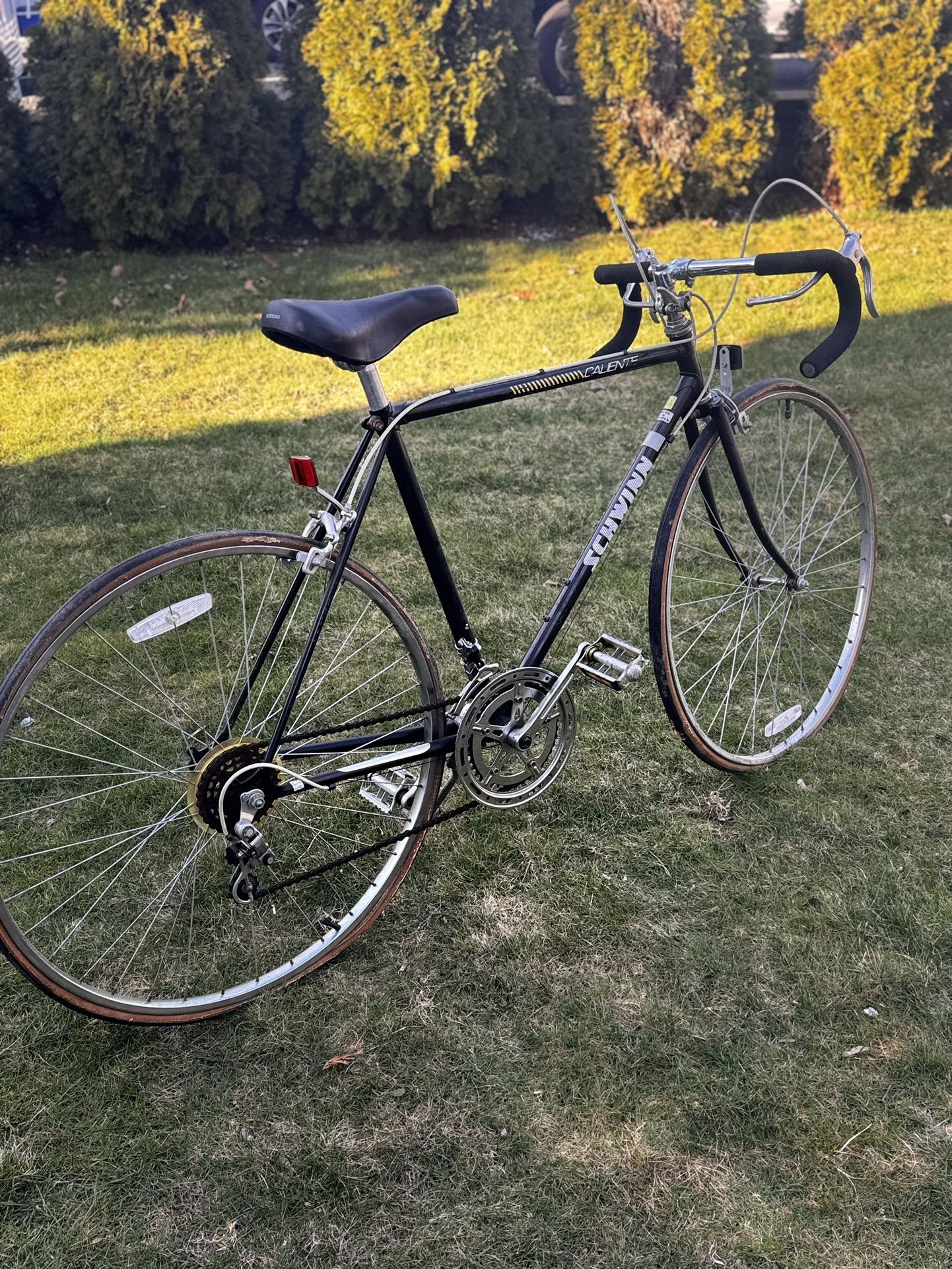 Schwinn Caliente Bike 