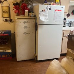 Stand Up  Deep Freezer 