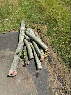 Logs