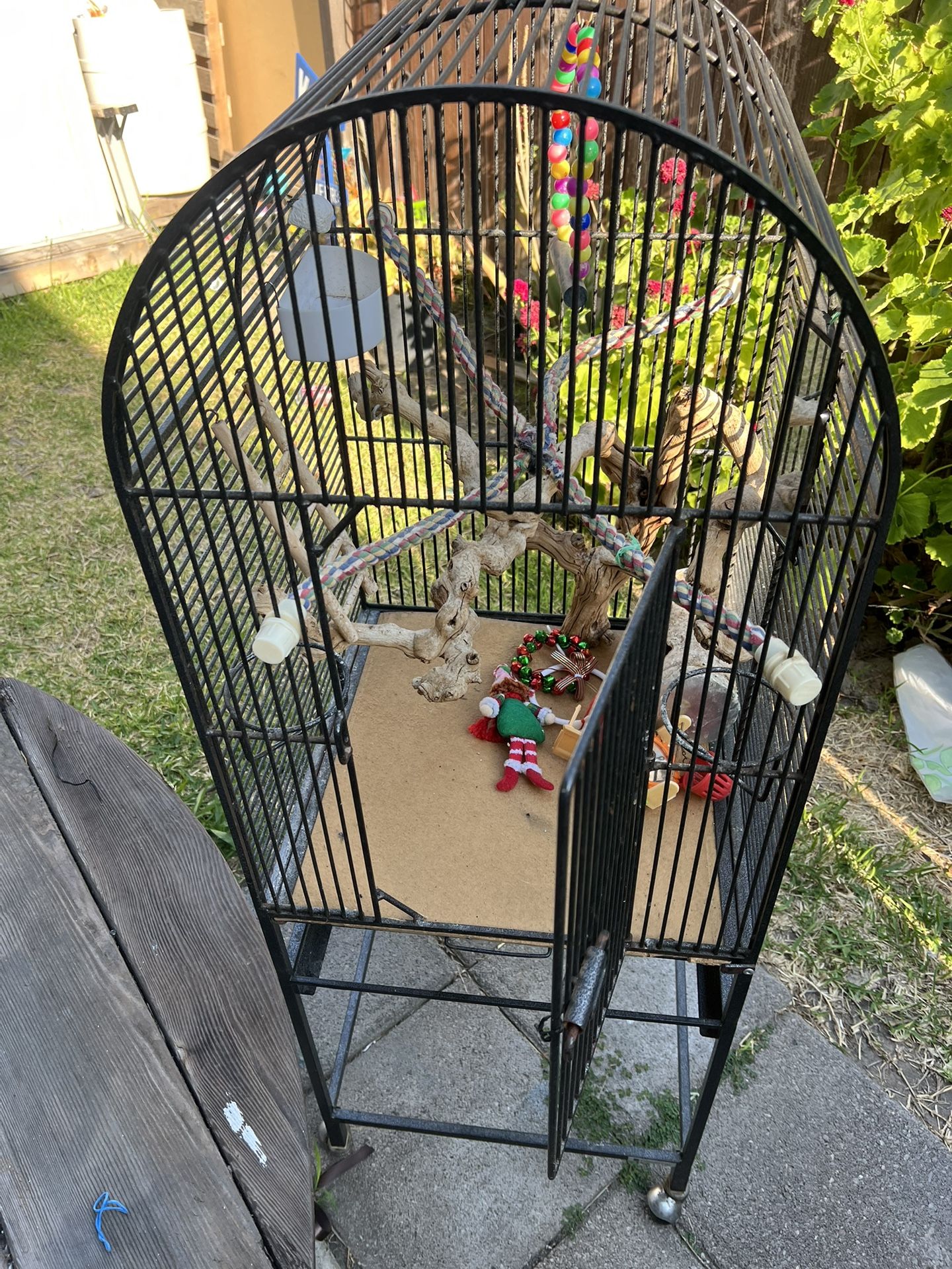 Bird Cage